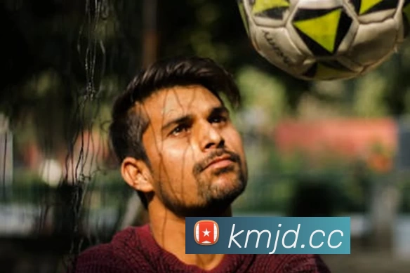 开云(中国)Kaiyun·官方网站 - 登录入口服务体系